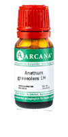 ANETHUM graveolens LM 1 Dilution